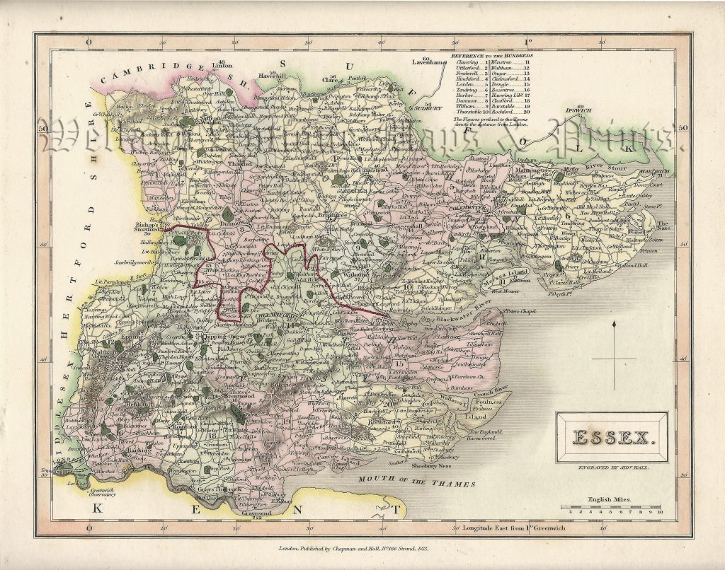 Puzzle 1000 Pezzi – Mappa Dell'Essex Del 1836 Di Thomas Moule – JHG - Foto 1