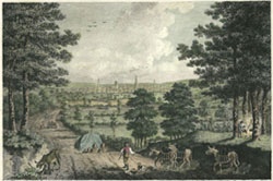 Leicestershire Prints
