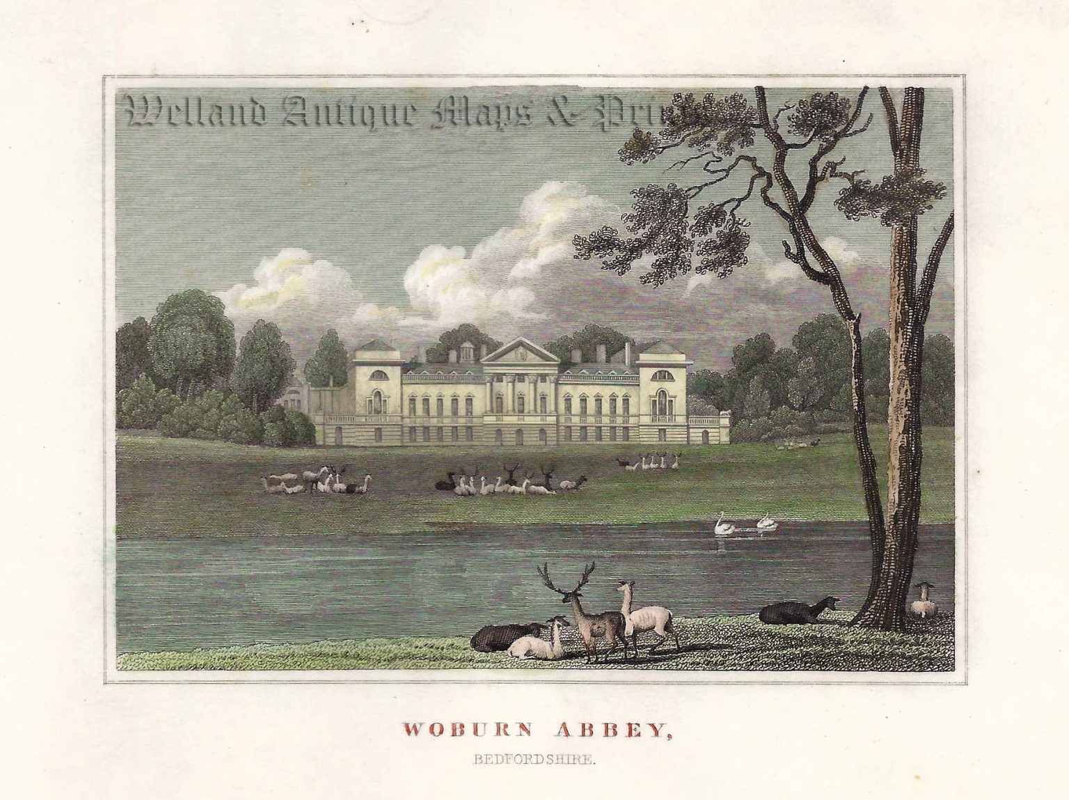 'WOBURN ABBEY, Bedfordshire.' [SW View] by Nash / Angus c.1802 ...