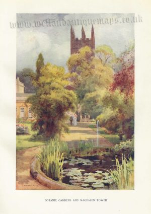 ‘BOTANIC GARDENS AND MAGDALEN TOWER’ (Oxford) by E. W. Haslehust c.1910
