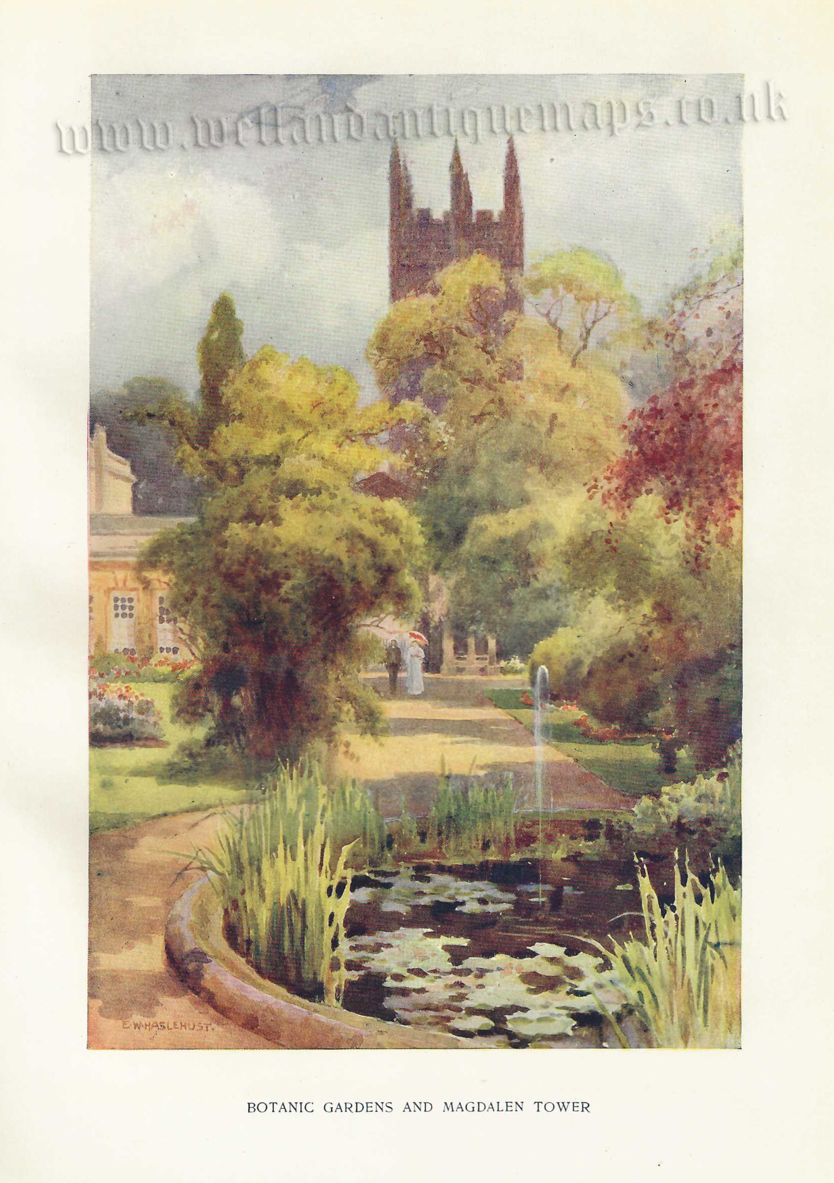 ‘BOTANIC GARDENS AND MAGDALEN TOWER’ (Oxford) by E. W. Haslehust c.1910